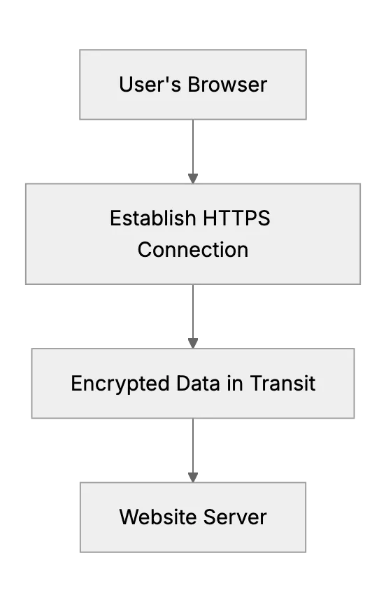 Differences Between VPN and HTTPS: Which One Do You Really Need?