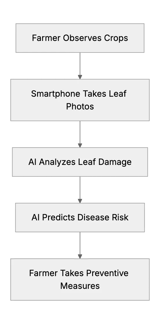 Agriculture - Disease Detection